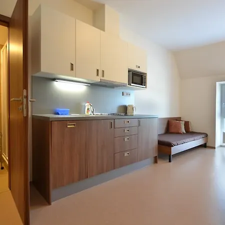 Rokytka Snowhouse Apartmán *